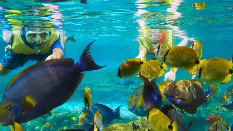 Puerto Morelos: Snorkeling at The National Reef Park - FAQ