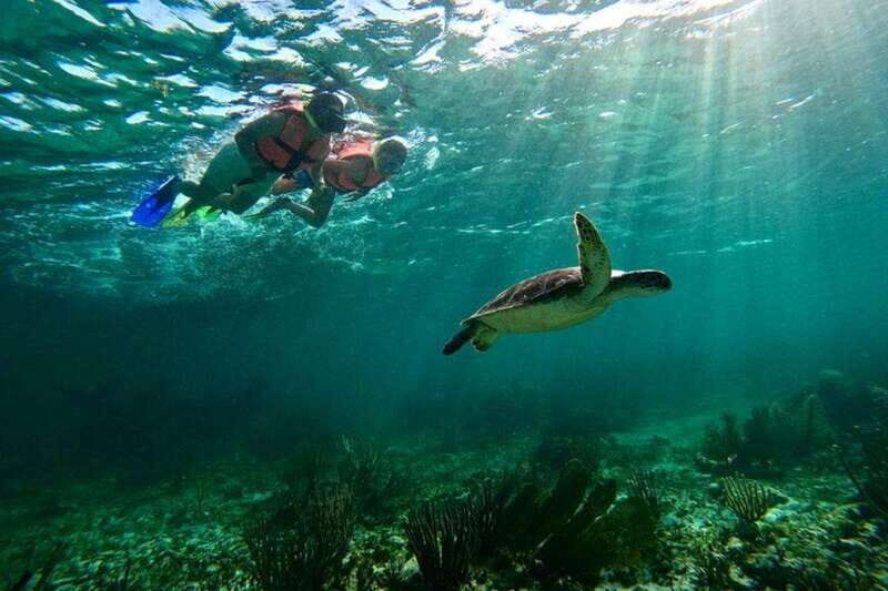 Puerto Morelos: Snorkeling Guided Activity - Key points to know before you go