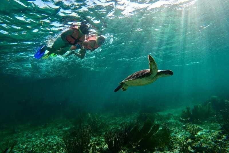 Puerto Morelos: Snorkeling Guided Activity - Who this tour suits best (and who should rethink it)