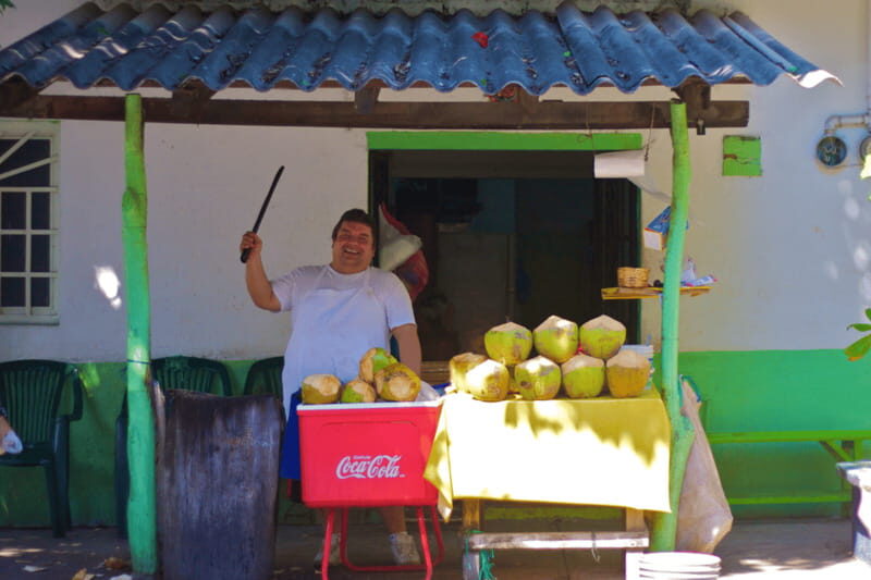 Puerto Vallarta 3-Hour Food Tour of Authentic Local Cuisine - Why this Puerto Vallarta food tour works better than DIY eating