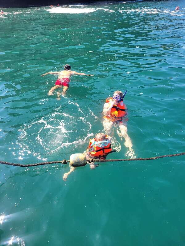 Puerto Vallarta: 3-Hour Whale Watching and Snorkeling - Key Things You’ll Notice on This Whale Watching Boat Trip