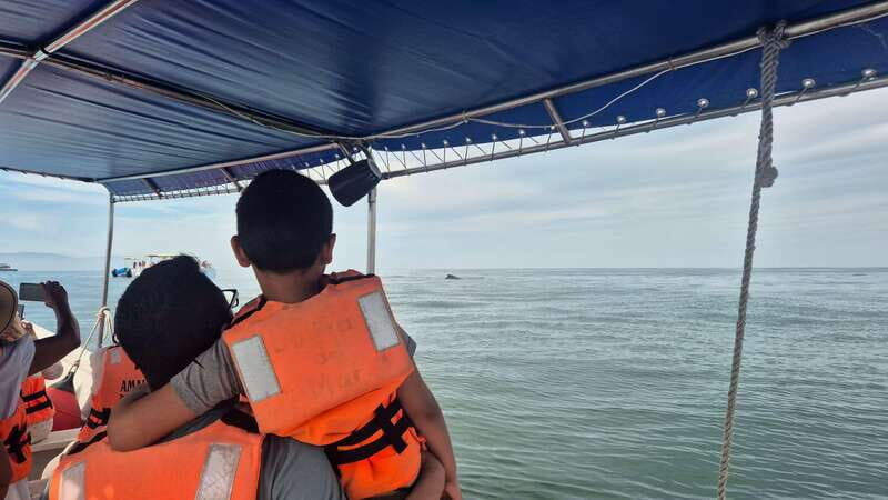 Puerto Vallarta: 3-Hour Whale Watching and Snorkeling - Price and Value: How $45 Adds Up (and When It Doesn’t)