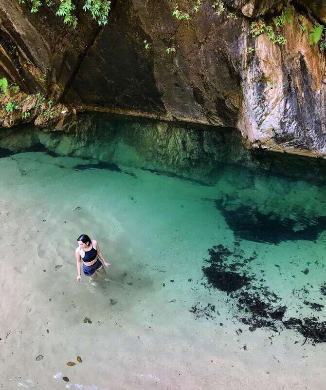 Puerto Vallarta: 4-Hour Jungle Hike and Waterfall Swim - A Taste of Wild Jalisco in Four Hours