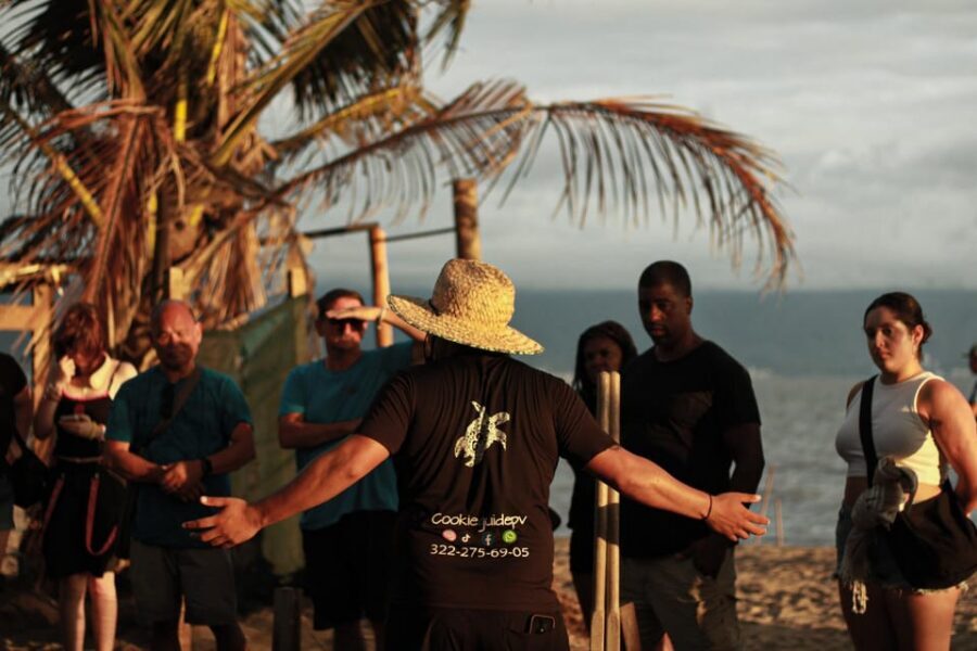 Puerto Vallarta: Baby Turtle Release in Conservation Area - Where the turtle camp fits into Puerto Vallarta (and why this one is special)