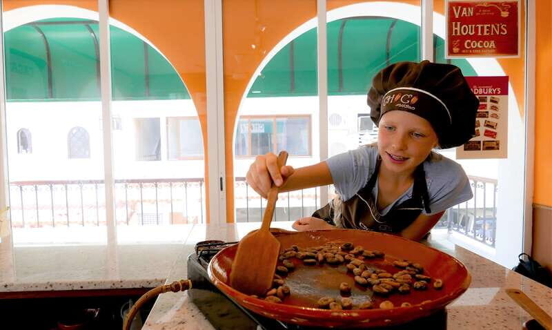 Puerto Vallarta: Bean to Bar Chocolate Workshop - The Museum Tour: How Cacao History Turns Into Better Chocolate Choices