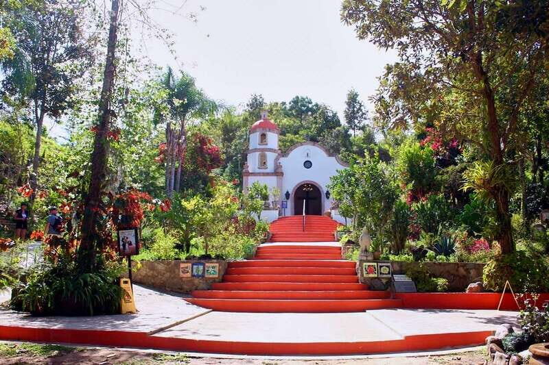 Puerto Vallarta: Botanical Gardens, Distillery & Coffee Tour - Key highlights I’d plan around