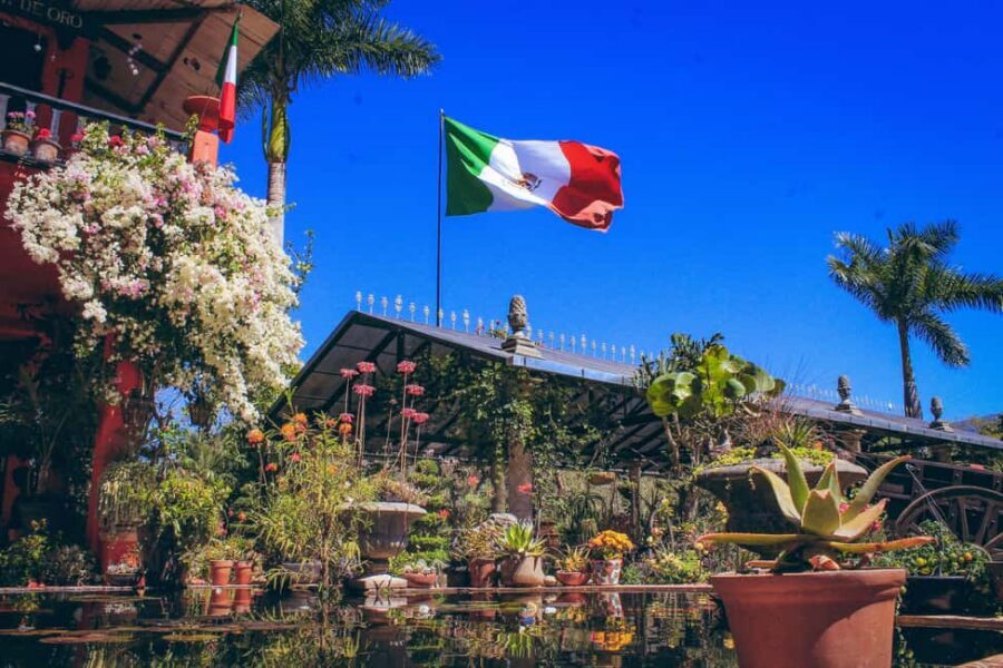 Puerto Vallarta: Botanical Gardens, Distillery & Coffee Tour - Getting picked up and moving in 6 hours: heat, shoes, and pacing
