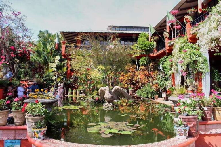 Puerto Vallarta: Botanical Gardens, Distillery & Coffee Tour - Holstein House of Orchids and Vanilla: the stop that makes it special