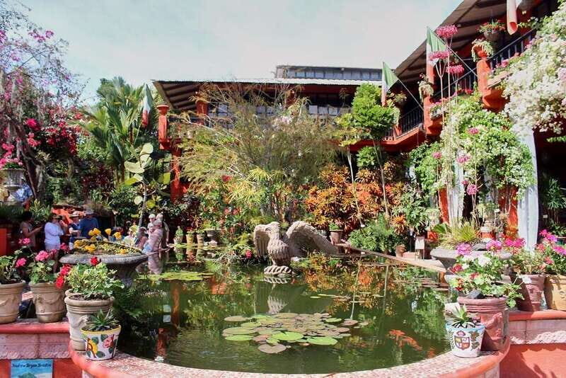 Puerto Vallarta: Botanical Gardens, Distillery & Coffee Tour - Holstein House of Orchids and Vanilla: the stop that makes it special