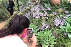 Puerto Vallarta Botanical Gardens Hiking Tour - The Horcones River Hike to Los Veranos Adventure Park