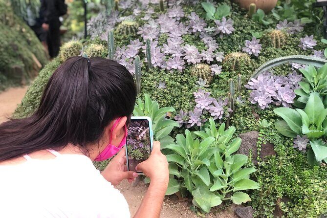 Puerto Vallarta Botanical Gardens Hiking Tour - Traditional Tequila Tasting and How to Plan for Lunch