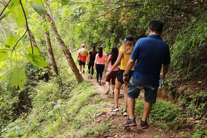 Puerto Vallarta Botanical Gardens Hiking Tour - Animal Sanctuary: Meet Rescued Wildlife Up Close