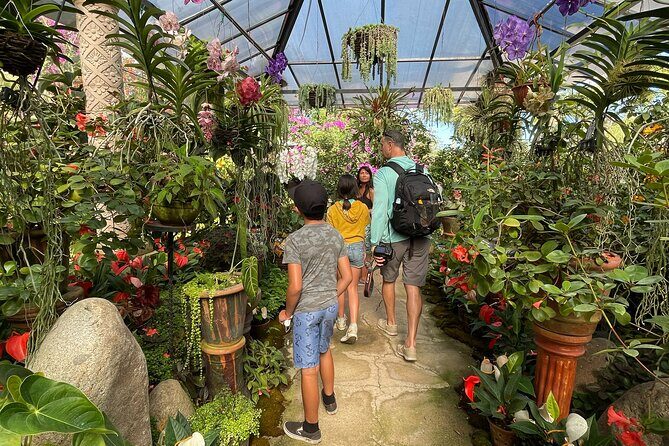 Puerto Vallarta Botanical Gardens Hiking Tour - Price and Value: What $102 Really Buys You