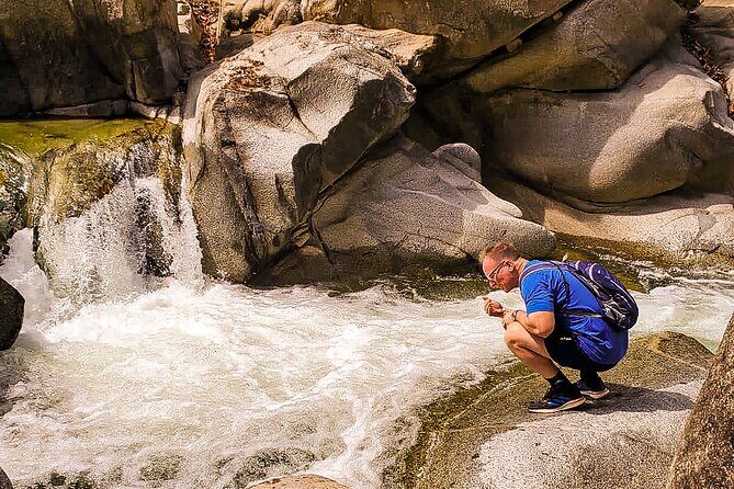 Puerto Vallarta Botanical Gardens Hiking Tour - Logistics That Can Make or Break Your Day