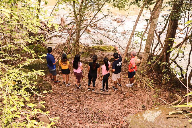 Puerto Vallarta Botanical Gardens Hiking Tour - Who This Tour Fits Best (And Who Might Want a Different Plan)