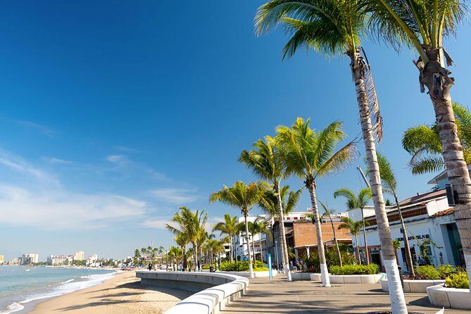 Puerto Vallarta City Tour - Tequila tasting and the distillery visit: fun, even without drinking