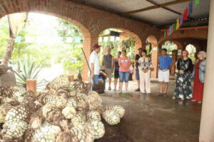 Puerto Vallarta: City Tour, Tequila and Coffee Factory Tour - Church of Lady of Guadalupe: Where Time for Photos Actually Happens