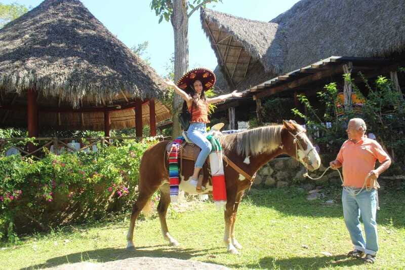 Puerto Vallarta: City Tour, Tequila and Coffee Factory Tour - Lunch Timing and the Real Cost of “Optional”