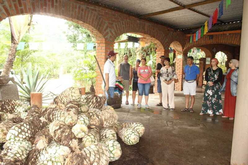 Puerto Vallarta: City Tour, Tequila and Coffee Factory Tour - Church of Lady of Guadalupe: Where Time for Photos Actually Happens