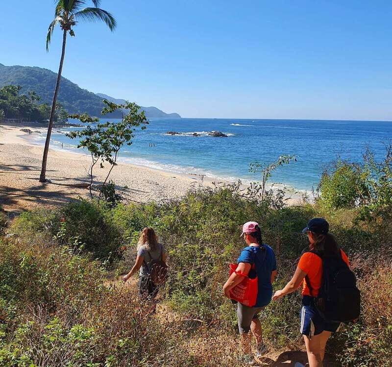 Puerto Vallarta: Full Day Hike to 6 Hidden Beaches & Snorkel - The Hike Reality Check: Rocky, Steep, and Totally Worth It (If You Train for It)