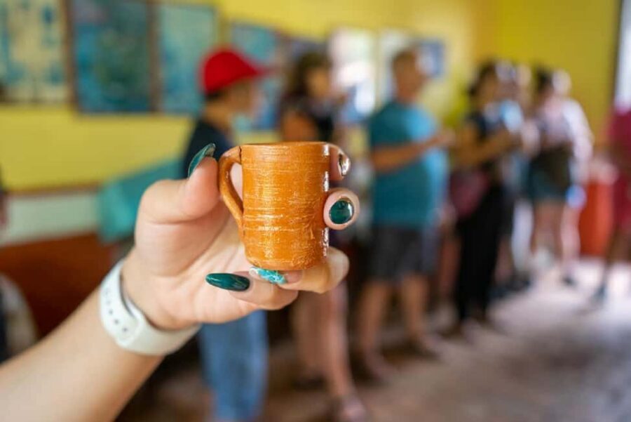 Puerto Vallarta: Guided San Sebastian Tour - Sierra Madre mountain views and why the scenery matters here