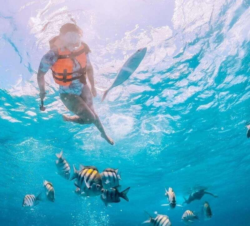 Puerto Vallarta: Los Arcos Islands Boat Tour and Snorkeling - Snorkel time at Los Arcos: gear, expectations, and safety reality