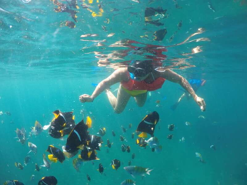Puerto Vallarta: Luxury Yacht Tour with Lunch and Open Bar - Two pickup points near Puerto Mágico and Las Palmas: don’t wing this
