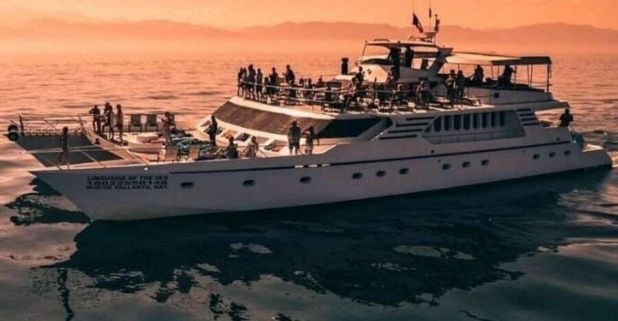 Puerto Vallarta: Mega Yacht Whale Watching Sunset Cruise - Why This Puerto Vallarta Whale Cruise Works (Even If You Hate Waiting)