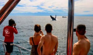 Puerto Vallarta: Mega Yacht Whale Watching Sunset Cruise - Getting on Board: The Two Chica Locca Meeting Points
