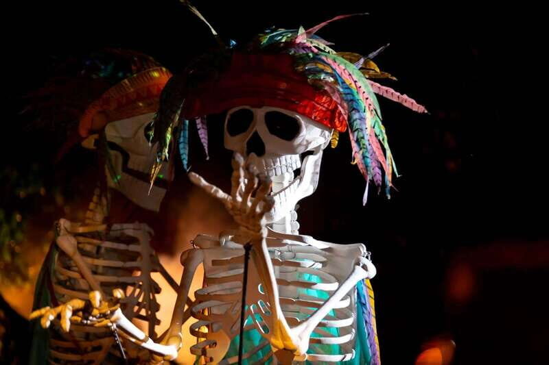 Puerto Vallarta Rhythms of the night, Show & Buffet dinner - Who This Experience Fits Best in Your Puerto Vallarta Trip