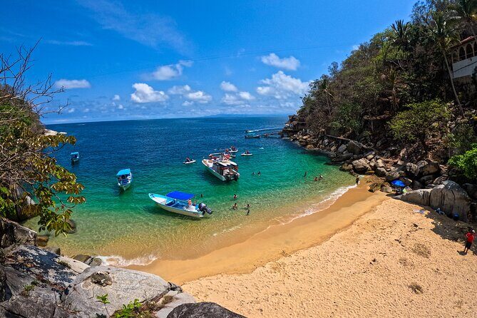 Puerto Vallarta : Snorkeling at Playa Escondida & Canopy Tour - Price and value: why $44.80 can make sense