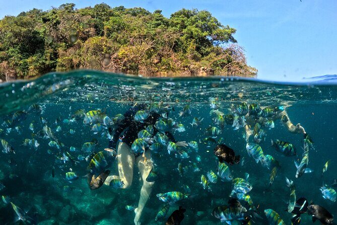 Puerto Vallarta: Tropical Fish Snorkeling and Zipline Tour - Getting there the fun way: truck views and a water taxi