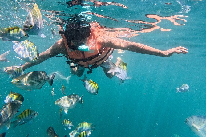 Puerto Vallarta: Tropical Fish Snorkeling and Zipline Tour - Playa Las Ánimas downtime and seafront meal