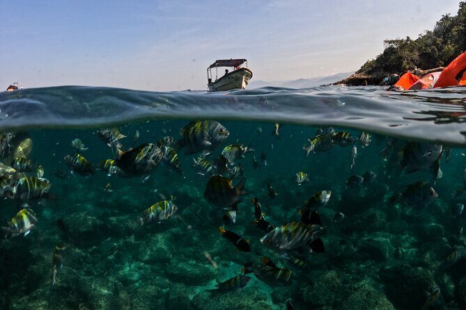 Puerto Vallarta: Tropical Fish Snorkeling and Zipline Tour - Who should book this snorkeling and zipline combo