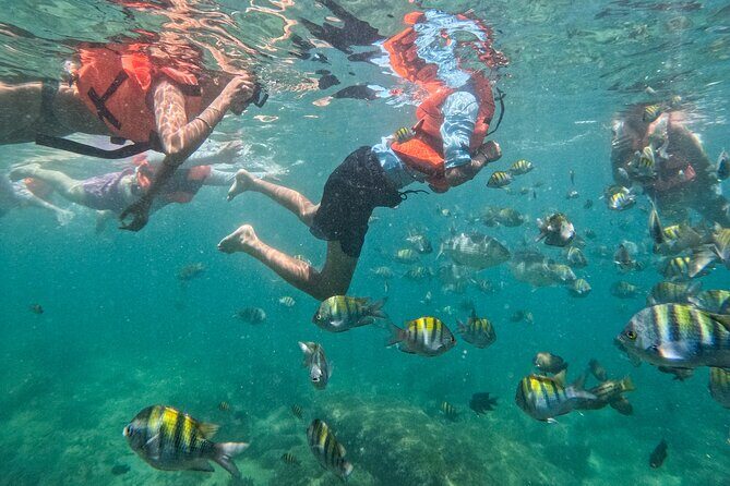 Puerto Vallarta: Tropical Fish Snorkeling and Zipline Tour - Practical tips to make the day smoother
