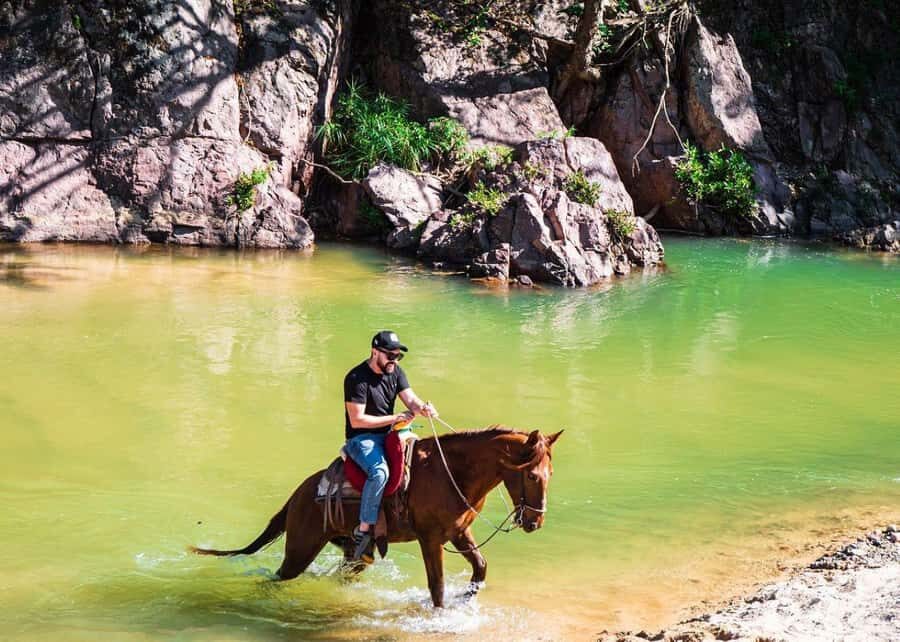 Puerto Vallarta: Tropical Forest Horseback Ride - From the Local Library to the Ranch: The Simple Logistics
