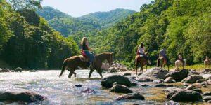 Puerto Vallarta: Tropical Forest Horseback Ride - Safety Gear and Horse Setup Before You Leave