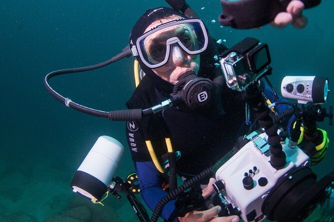 Puerto Vallarta Undersea Private Scuba Diving - Private Undersea Scuba in Puerto Vallarta: Your Group Gets the Attention