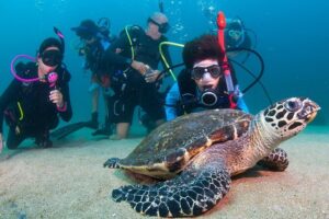 Puerto Vallarta Undersea Private Scuba Diving - Islas Marietas: Hidden Beach Option and Scuba Certification Timing