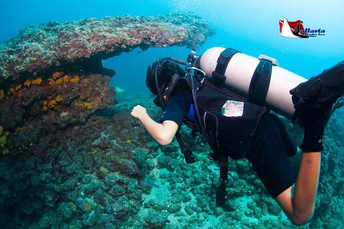 Puerto Vallarta Undersea Private Scuba Diving - How the Crew Runs the Day: Safety, Air Management, and Real Instruction