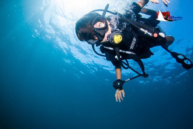 Puerto Vallarta Undersea Private Scuba Diving - Beginner-Friendly Without Feeling Like a Classroom