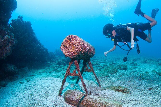 Puerto Vallarta Undersea Private Scuba Diving - Timing, Weather, and Surface Breaks You’ll Actually Enjoy