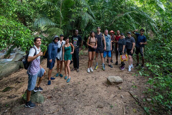 Puerto Vallarta Waterfall Hike - The river trail: jungle plants, wildlife, and the hike’s true difficulty