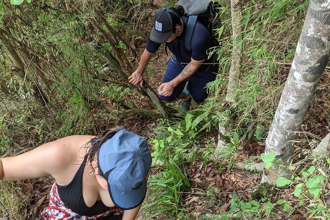 Puerto Vallarta Waterfall Hike - Price and value: how $39.37 fits what you actually get