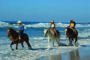 Punta de Mita/Sayulita: Horseback Riding Tour - The ranch and animal time before you ride