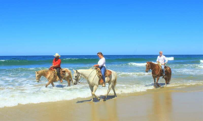 Punta de Mita/Sayulita: Horseback Riding Tour - The jungle trail: calm horses and patient guides