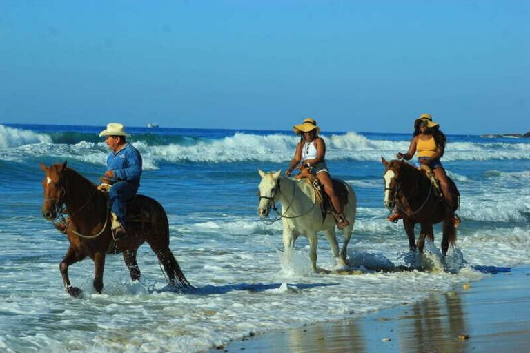 Punta de Mita/Sayulita: Horseback Riding Tour - The ranch and animal time before you ride