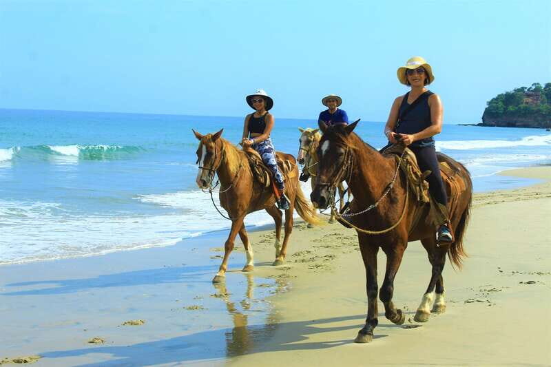 Punta de Mita/Sayulita: Horseback Riding Tour - Timing and transportation from Punta de Mita / Sayulita