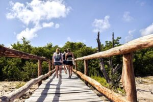 Punta Sur Eco Beach Park Electric Bike Tour in Cozumel - Beach Bum Cozumel Start: Where to Meet and What Happens First