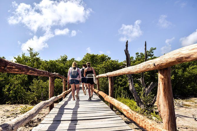 Punta Sur Eco Beach Park Electric Bike Tour in Cozumel - Beach Bum Cozumel Start: Where to Meet and What Happens First